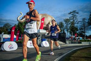 BIB: 
                            <button type="button" onclick="openModal(26541623)" class="btn btn-primary btn-sm float-right btn-popup" data-toggle="modal" data-target=".modal-high-quality">
                        <i class="fas fa-shopping-cart"></i> Add to Cart
                    </button>
                                            <button type="button" onclick="isThisMe(26541623, true)" class="btn btn-success btn-sm float-right btn-popup btn-isme hidden" data-toggle="tooltip" data-placement="bottom" title="นี่คือรูปของคุณใช่ไหม คลิกที่นี่เพื่อเอาเข้าอัลบั้ม">
                        <i class="fas fa-plus"></i> Add to album
                    </button>
                    <button type="button" onclick="isThisMe(26541623, false)" class="btn btn-warning btn-sm float-right btn-popup btn-isnotme hidden">
                        <i class="fas fa-ban"></i> Remove from album
                    </button>